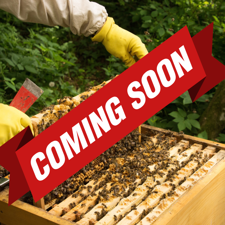 Intro to Beekeeping PART 2