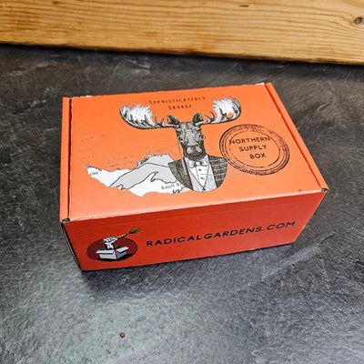 Chocolate Chip Cookie Box — A Dozen, Shipped Across Canada